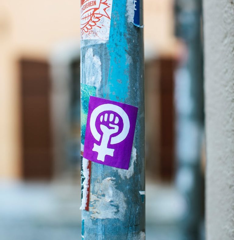 Por Um Constitucionalismo Feminista - IberICONnect